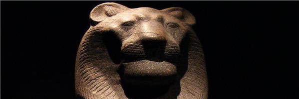 فريد Farid banner