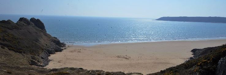 Richard Youle banner