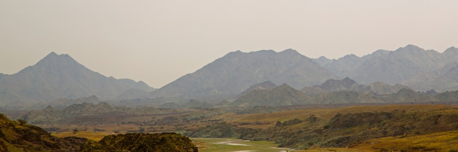 Cameron Hibbert banner