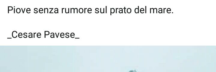 tetta de luca banner