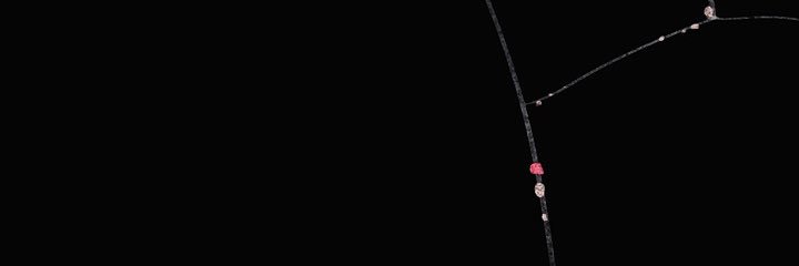 2_miyo_'s profile banner image