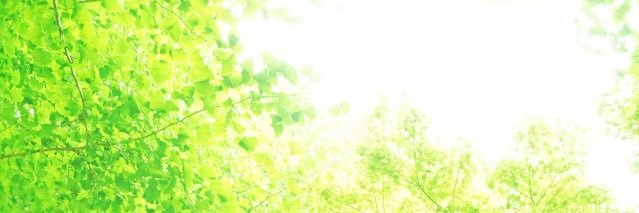 tacmamy's profile banner image
