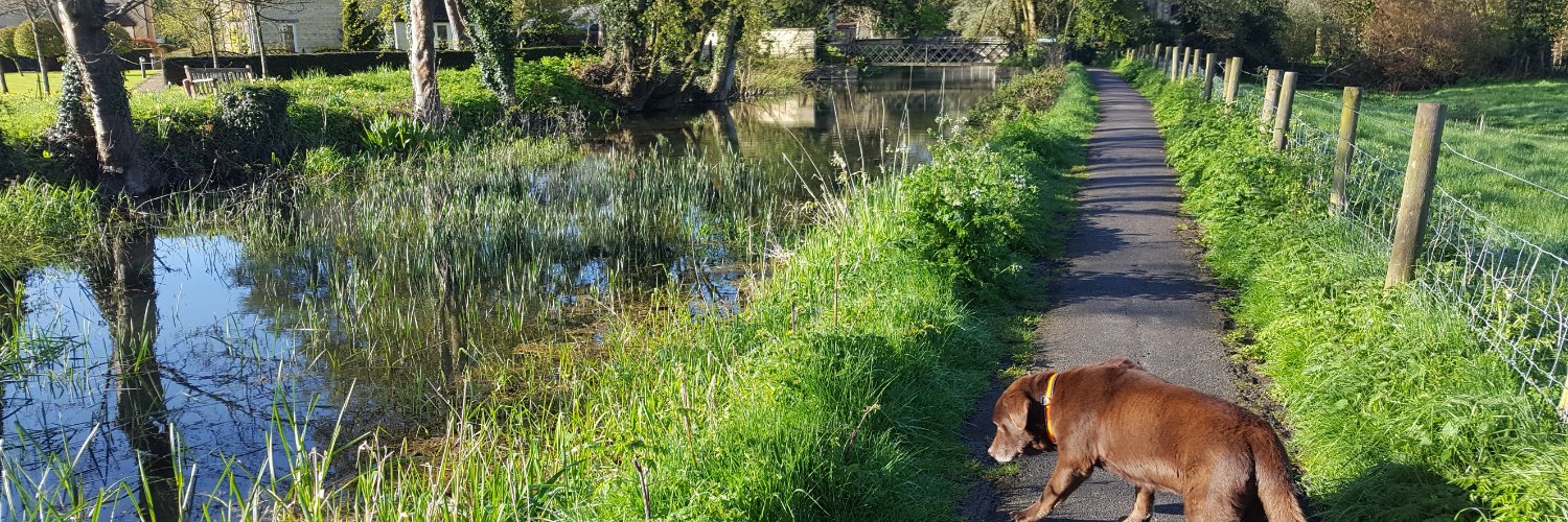 Kevin Coughlan banner