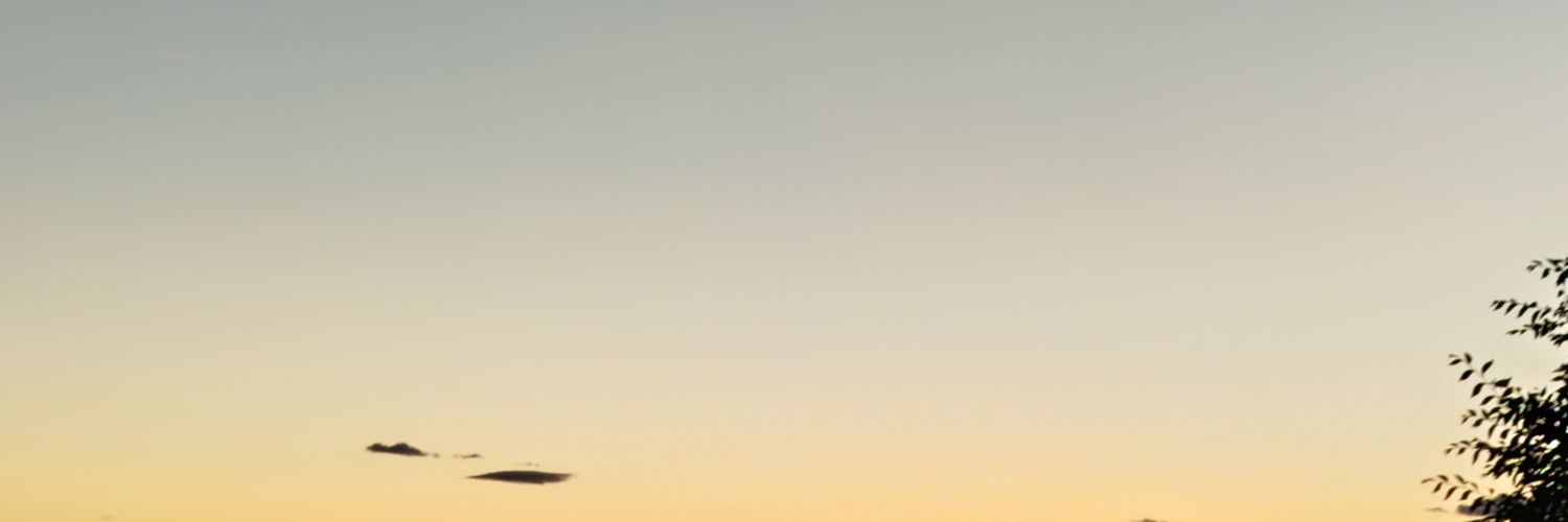 rt_and_porn's profile banner image