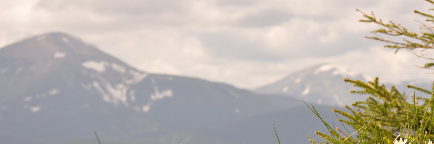 pod_kol's profile banner image