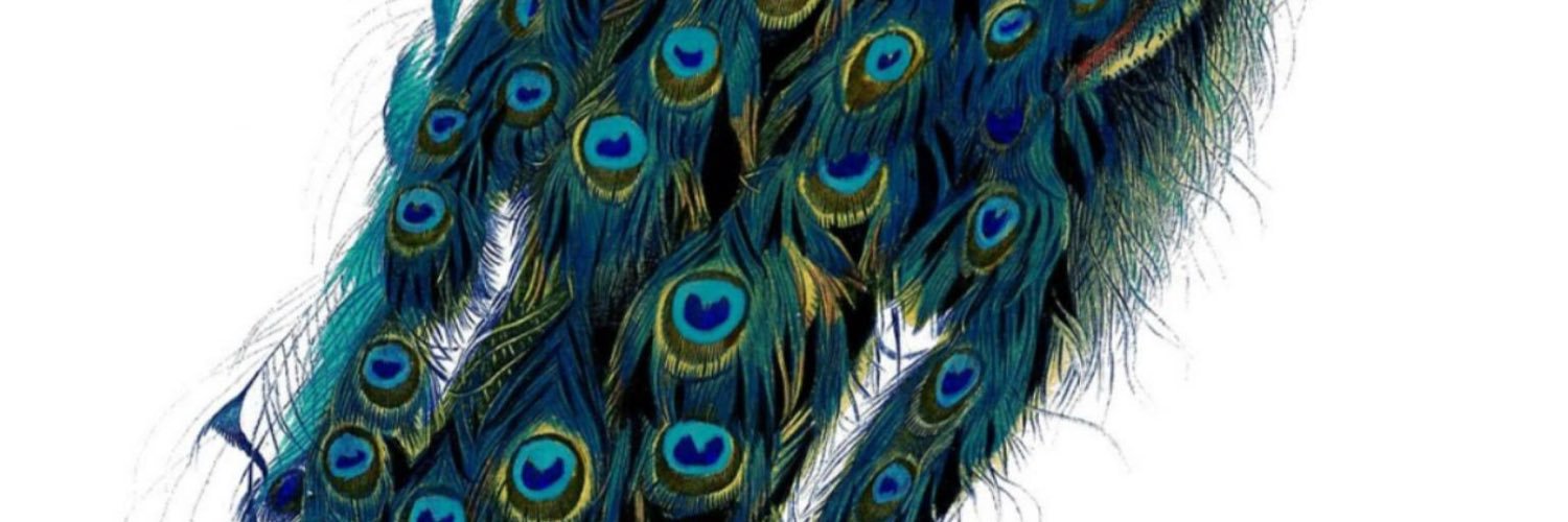Sinx_tweets's profile banner image
