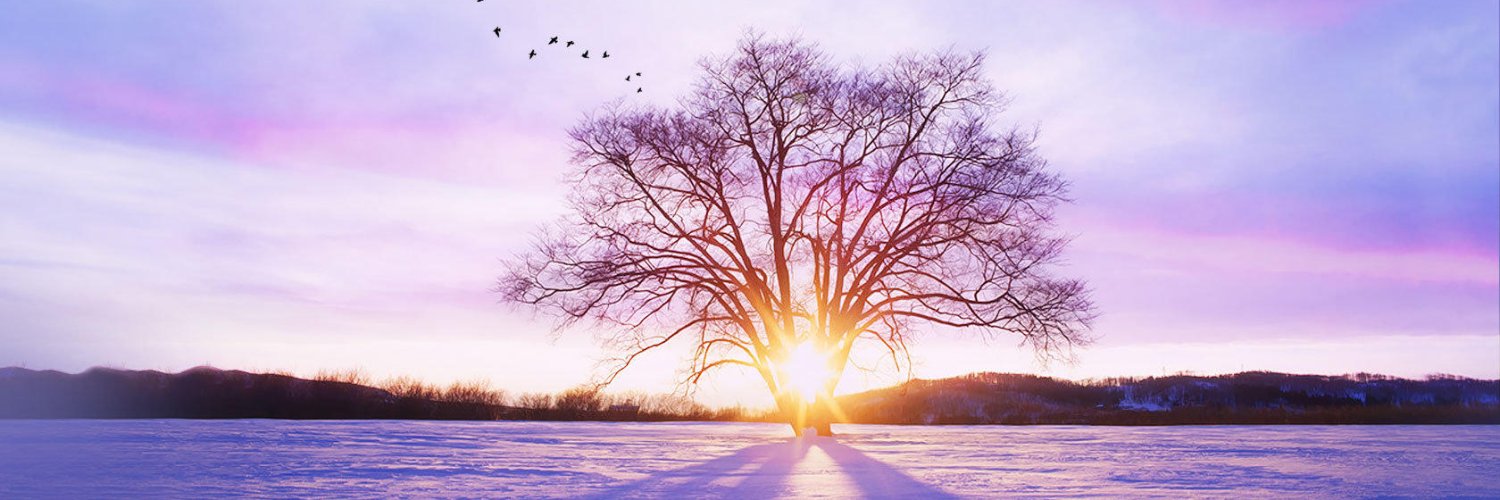 russelcollo's profile banner image