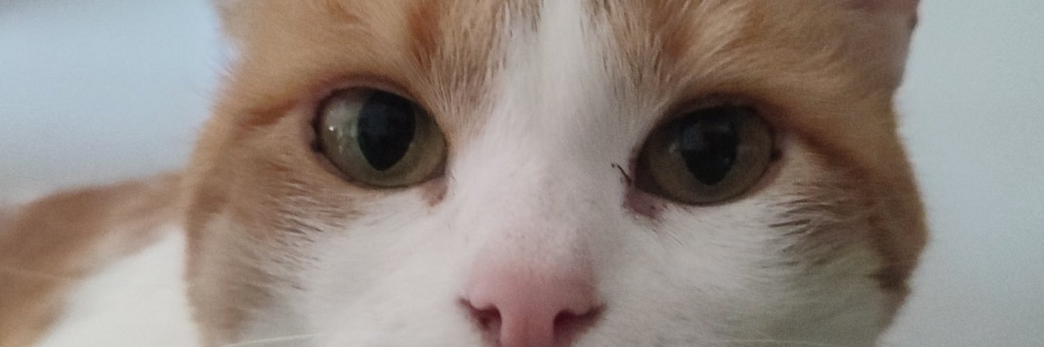 margNoa's profile banner image
