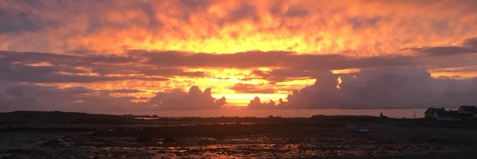 Nassime Berady banner