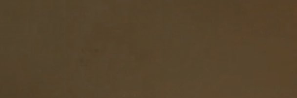 coiningback's profile banner image