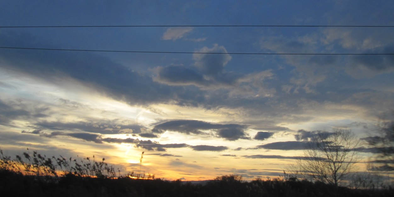 Neussil's profile banner image