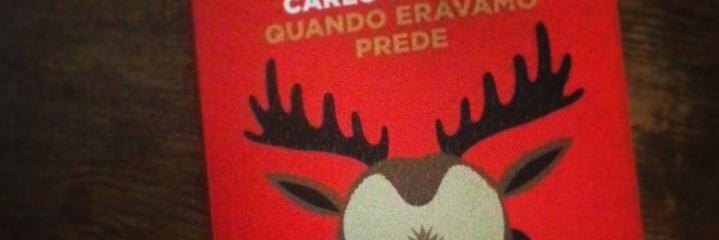 carlodamicis banner