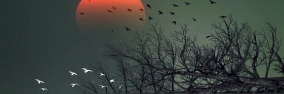 amit_155's profile banner image