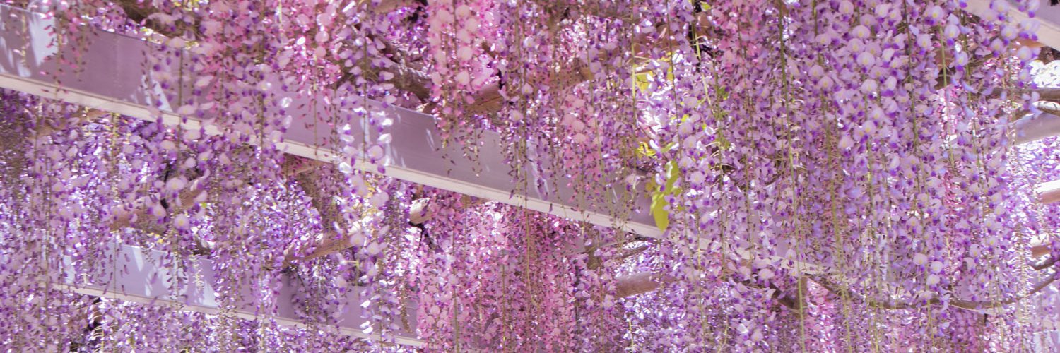 67_Ronashe's profile banner image