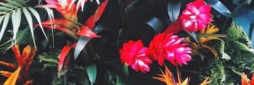 29_Anaaa's profile banner image