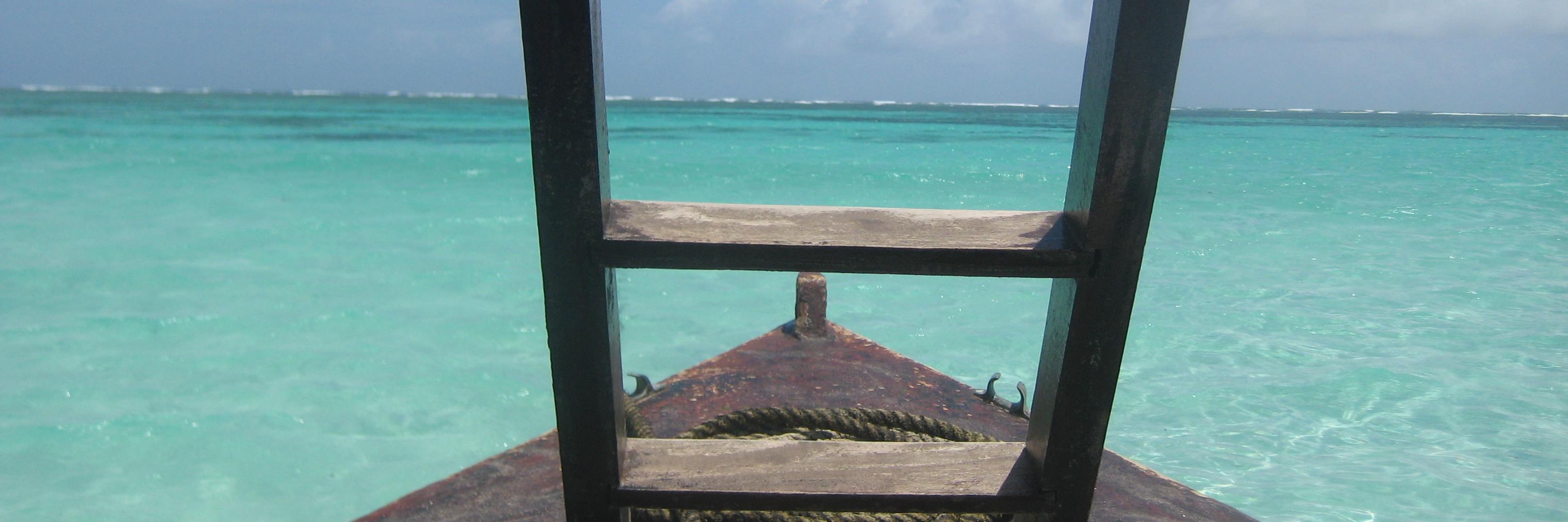 oceandebs's profile banner image