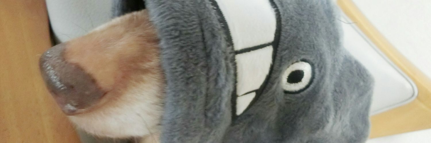 t_aym07's profile banner image