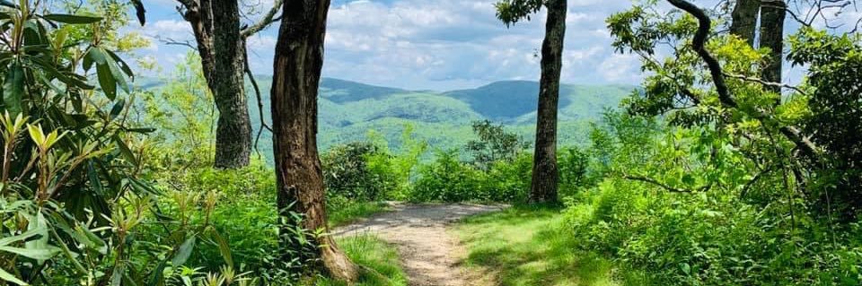 Jan Middleton banner