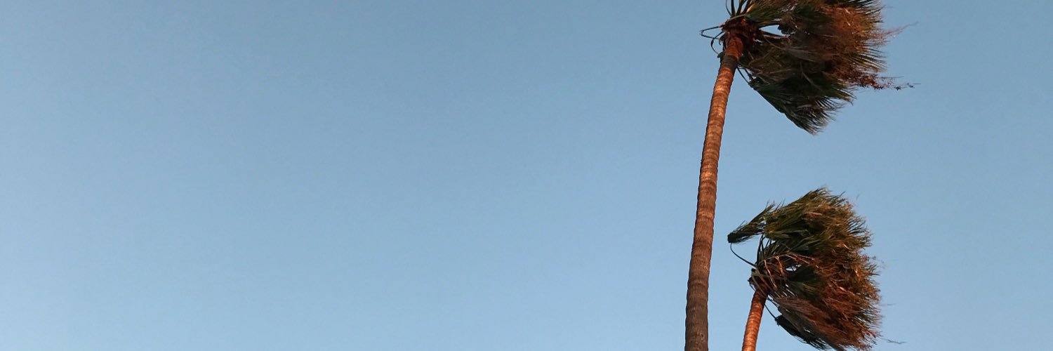 Jessimayne's profile banner image