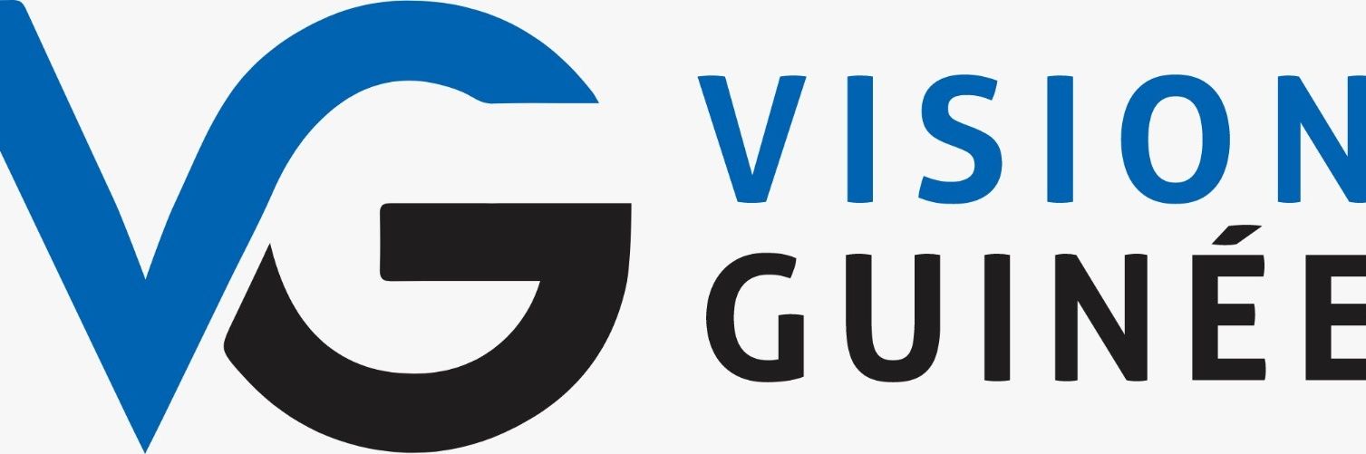 VisionGuinee.Info 🇬🇳 banner