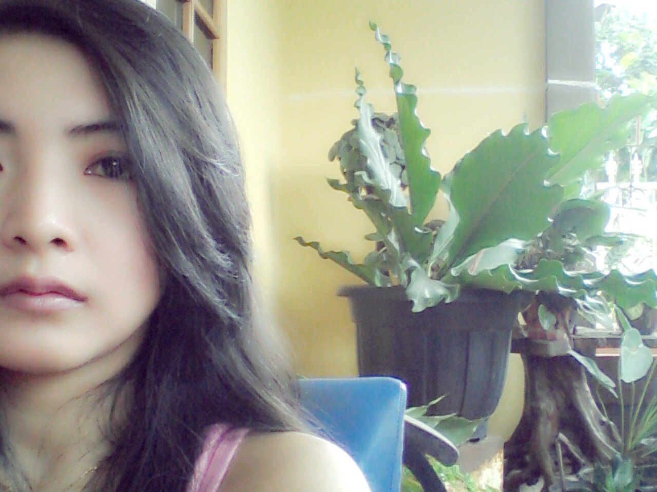 ayupretylestari's profile banner image