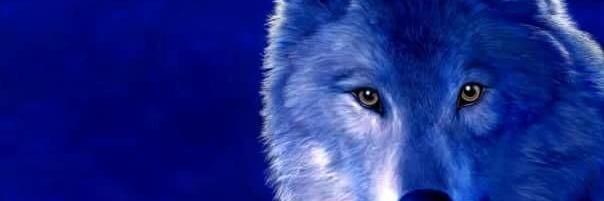 BlueChavalier's profile banner image