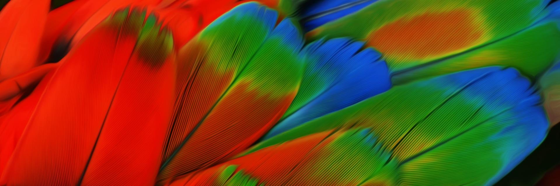 RGBirdGames's profile banner image