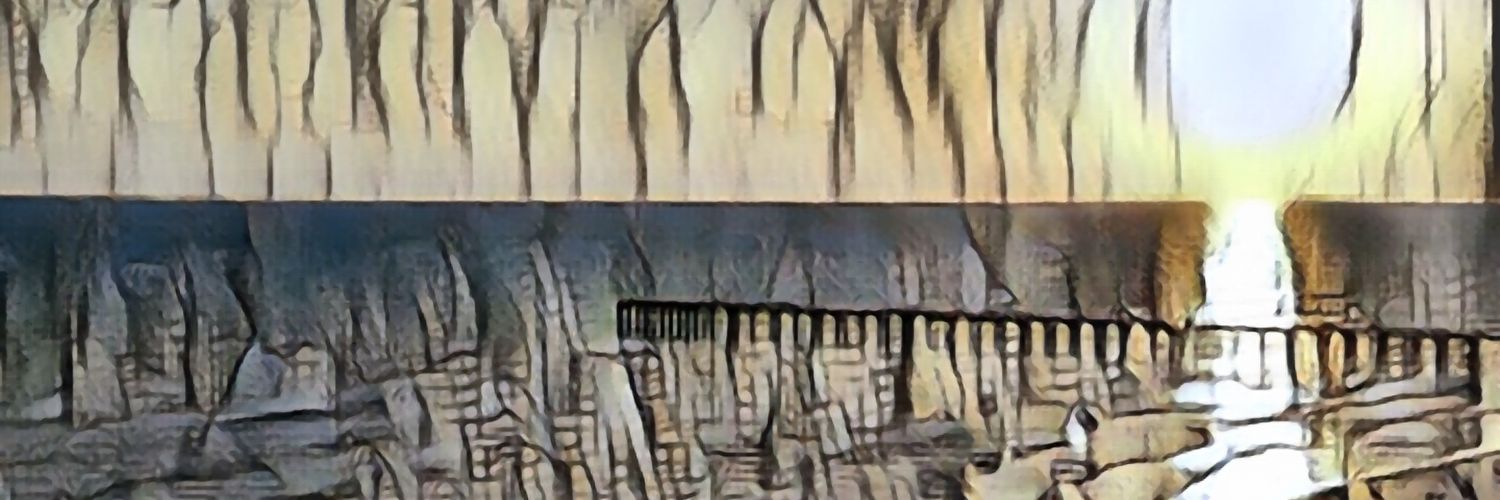 ener_corr's profile banner image