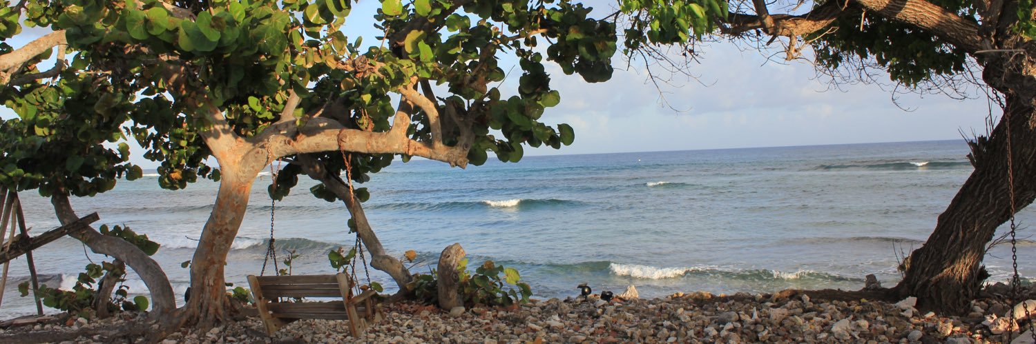 SydneyJanner's profile banner image
