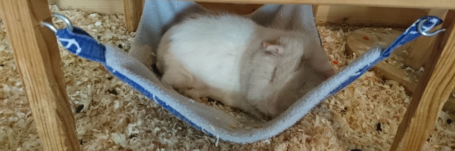 MissTurbocat's profile banner image