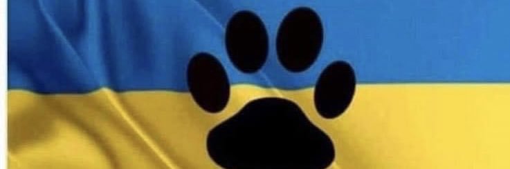 AllanSmart4's profile banner image
