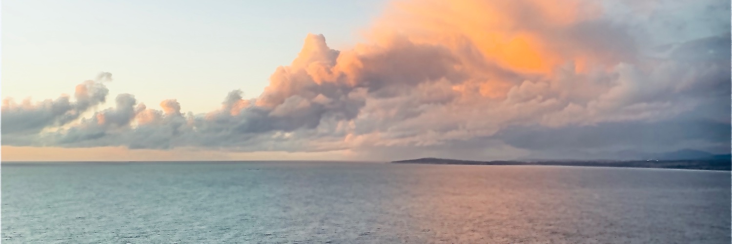 CAROLAKAST's profile banner image