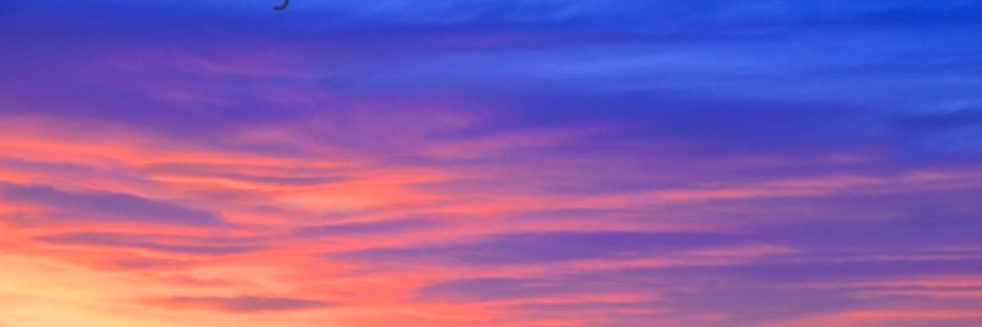 TrueColors0206's profile banner image