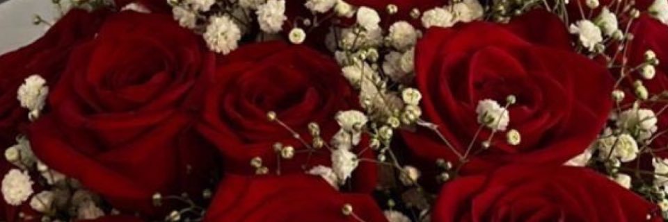 agathe_chly's profile banner image
