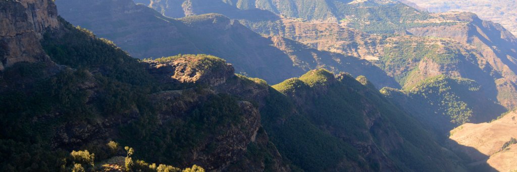 Selam K Abebe, PhD banner