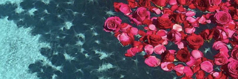 Adrienne Bruner banner