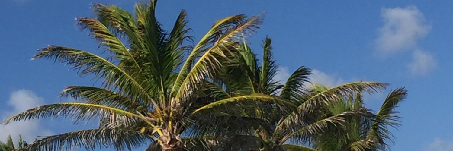 mbryceland's profile banner image