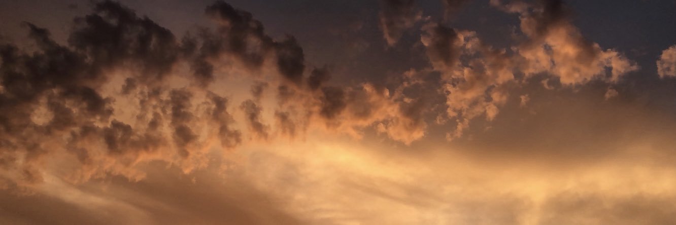 soniarc91's profile banner image