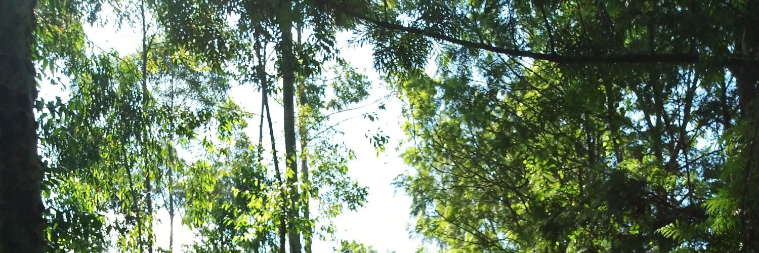 GuantaiMichael's profile banner image