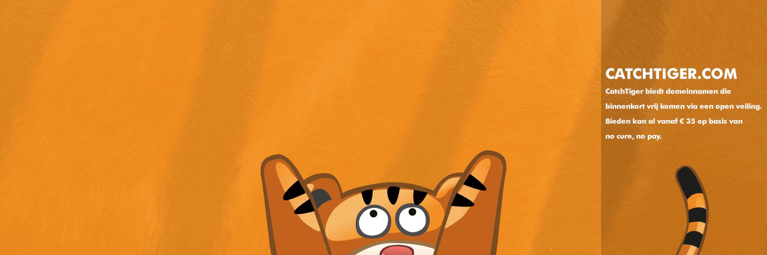 catchtiger_com's profile banner image