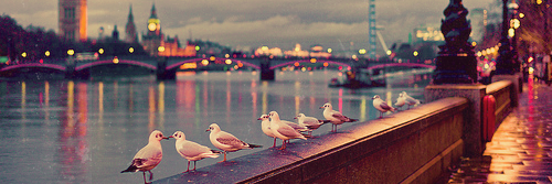 itsvaalll's profile banner image