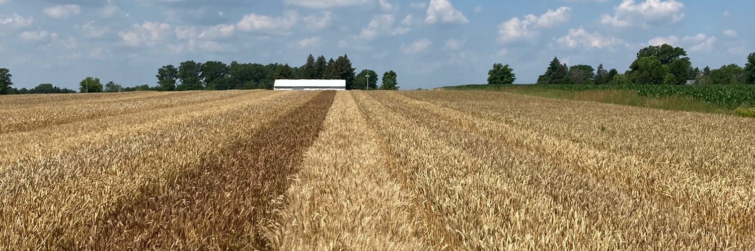MSUWheat's profile banner image