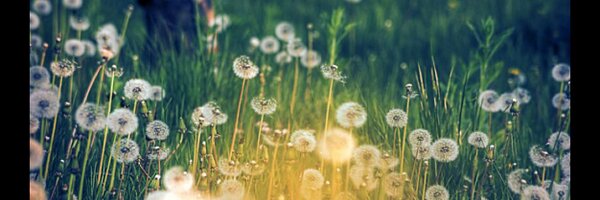 Mandee476 Profile Banner