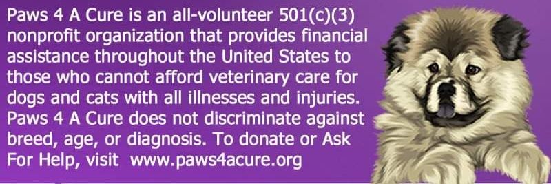 Paws 4 A Cure banner