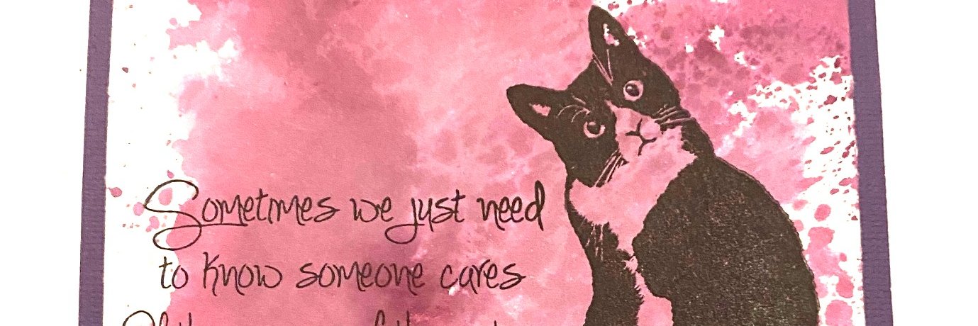 Alliecat Designs banner