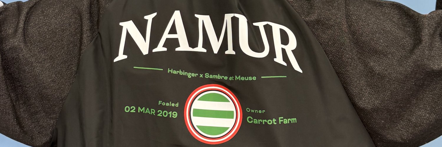 朝日奈ゆう banner