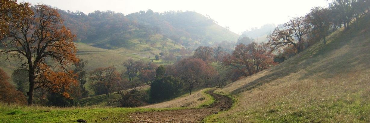 Sustainable CoCo banner