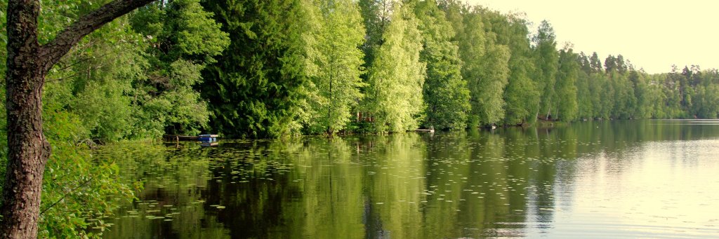 juhammikkonen's profile banner image
