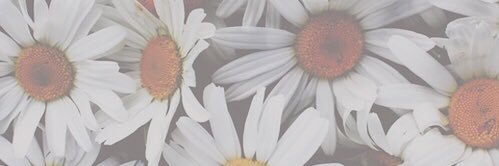 kellyshock_'s profile banner image