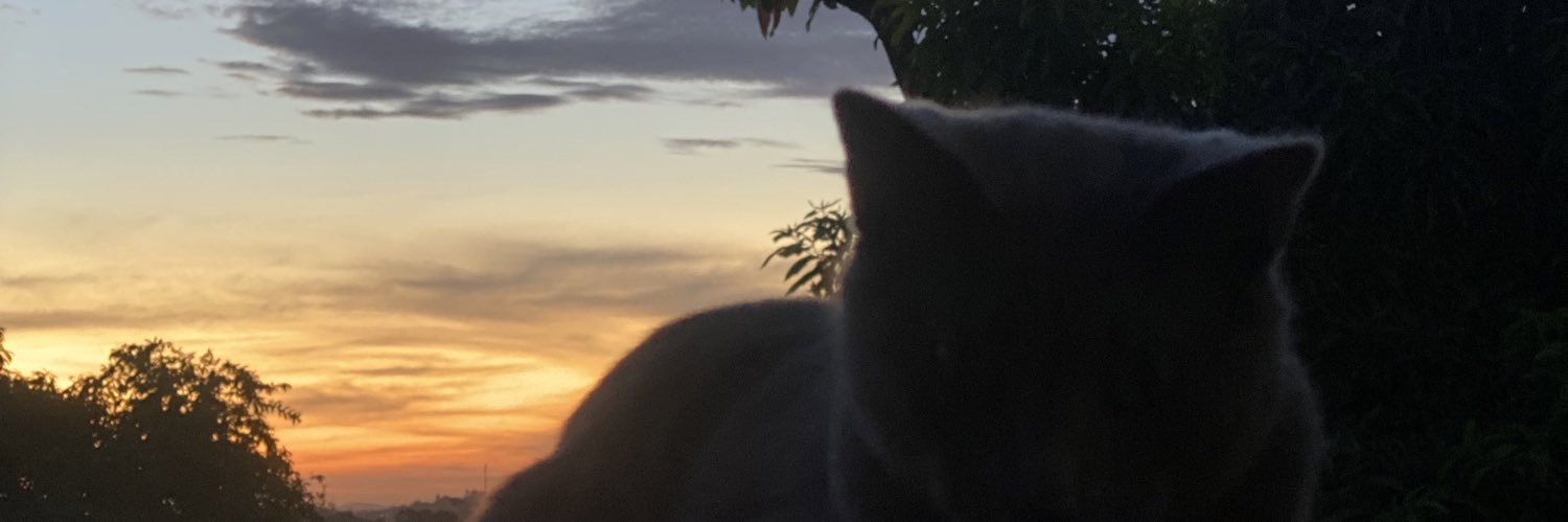 rr_aissa's profile banner image